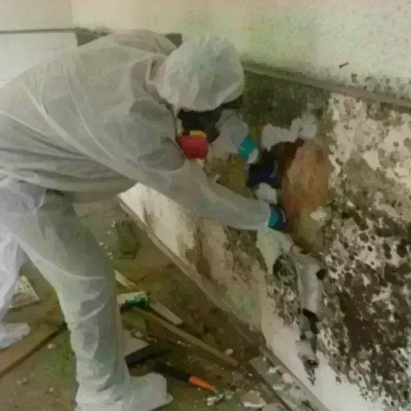 Mold Remediation and Removal in Lake Villa, IL