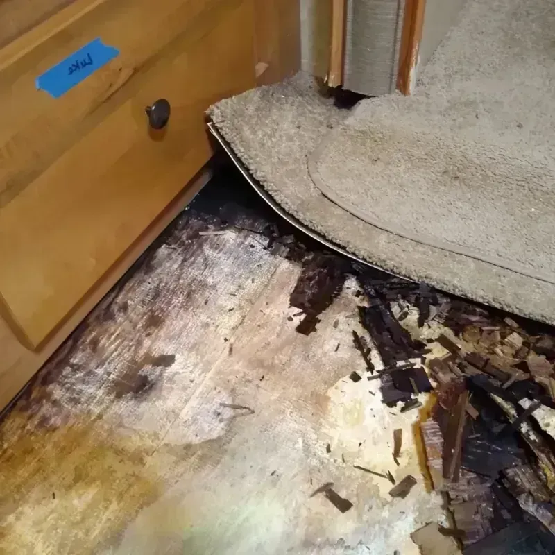 Wood Floor Water Damage in Lake Villa, IL